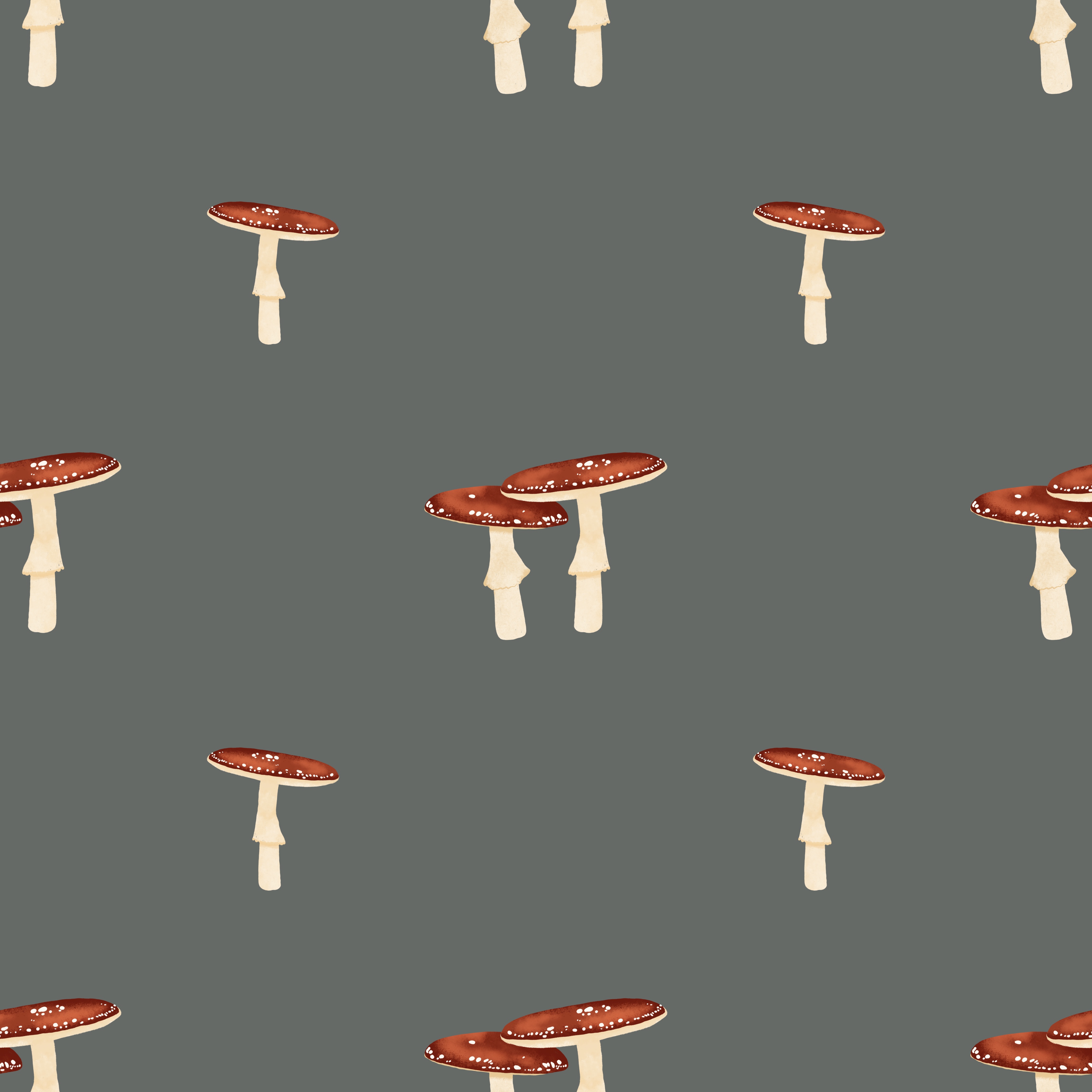 IMG 6932 — coordinate pattern from the Whimsical mashrooms collection